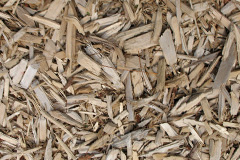 biomass boilers Pillmouth