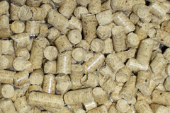 Pillmouth biomass boiler costs