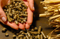 free Pillmouth biomass boiler quotes